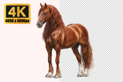 Icelandic Horse Transparent PNG Product Image 1