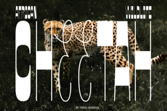 JT Bloore | Heading Font Product Image 9