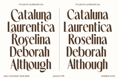 Noserta | Modern Sans Product Image 9