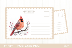 Christmas Card PNG. Cardinal Postcard PNG Product Image 1