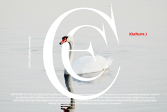 Gafsure | Modern Serif Product Image 9