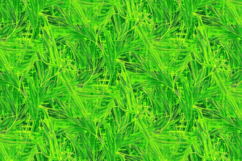 Green Grass Background Product Image 1