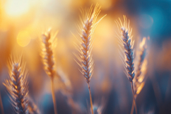 Wheat Field Background Wallpaper Product Image 1