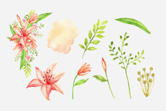 Watercolor Lily Flower Product Image 2