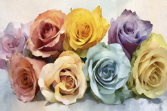 Watercolor Colorful Roses Background Product Image 1
