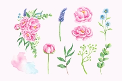 Watercolor Pink Peony Flowers Product Image 2