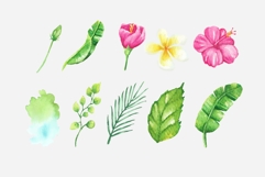 Watercolor Hibiscus Set Product Image 2