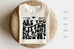 Are You Kitten Me Right Meow SVG, Cat Animal Funny SVG Product Image 1
