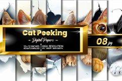 Cat Peeking Digital Papers Bundle Product Image 1