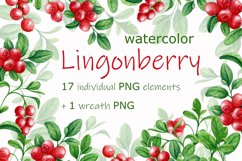 Watercolor wild berry clipart Red lingonberry Summer sticker Product Image 1