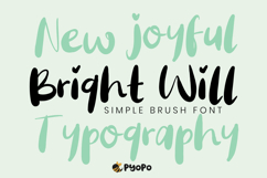 Bright Will Brush Font Product Image 1