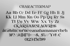 Nelara || Modern Classy Serif Font Product Image 10