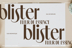 Noserta | Modern Sans Product Image 10