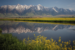 Mountain Ocean With Flower Background Product Image 1