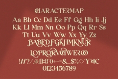 Brocho || Vintage Retro Serif Font Product Image 10