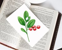 Watercolor wild berry clipart Red lingonberry Summer sticker Product Image 10