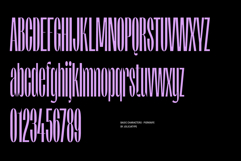 Pierknife | Ultra Condensed Sans Product Image 10