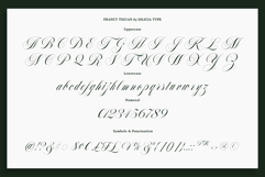 Francy Tiguan | Classy Script Font Product Image 10