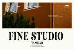Saneco | Display Serif Product Image 10