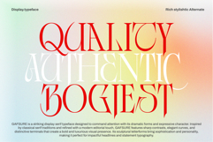 Gafsure | Modern Serif Product Image 10