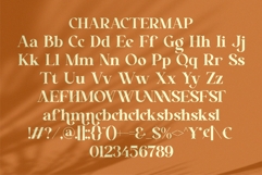 Eshira || Modern Classy Serif Font Product Image 10