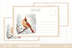 Christmas Card PNG. Cardinal Postcard PNG Product Image 1
