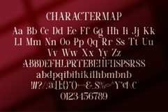 Tasero || Modern Classy Serif Font Product Image 10
