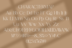 Ronnea || Modern Minimalist Serif Font Product Image 10