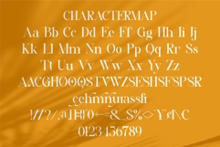 Trafise || Modern Serif Font Product Image 10