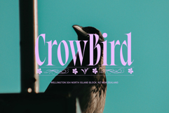 Bersa Serif | Narrow Serif Product Image 10