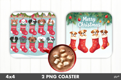 Christmas Socks, Christmas Animal, Coaster PNG Product Image 1