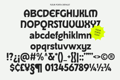 Fleur Porta | Display Sans Product Image 10