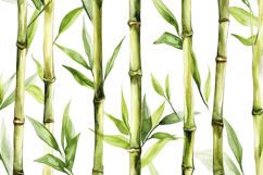 Bamboo Plant with White Background Wallpaper Product Image 1