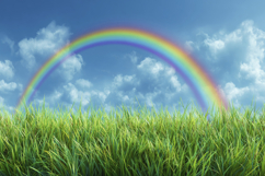 Rainbow Sky and Grass Background Wallpaper Product Image 1