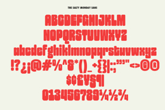 The Salty Monday | Font Duo Product Image 11