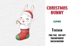 Christmas Bunny, Cute Clipart Product Image 1