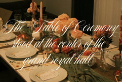 Francy Tiguan | Classy Script Font Product Image 11