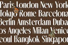 Noserta | Modern Sans Product Image 11