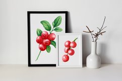 Watercolor wild berry clipart Red lingonberry Summer sticker Product Image 11