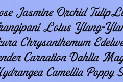 Scrakers | Vintage Font Product Image 11