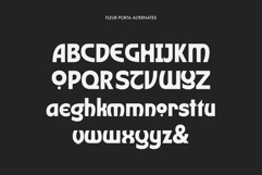 Fleur Porta | Display Sans Product Image 11