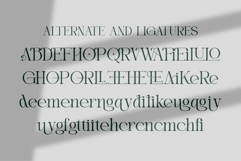 Eiden || Modern Serif Font Product Image 11