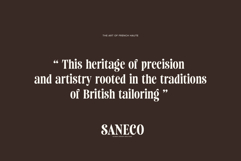 Saneco | Display Serif Product Image 11