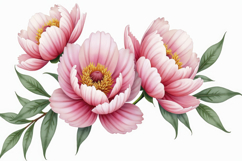 Pink Peony Flower Background Product Image 1