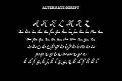 Nackresa | Modern Vintage Duo Product Image 11