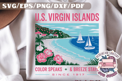 USA STATE America Vintage SVG Monochrome Design Patriotic Product Image 1