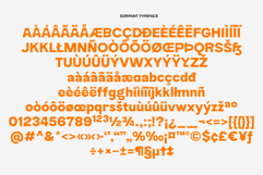 Sorpant | Display Sans Product Image 11