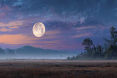 Full Moon and Landscape Background Wallpaper Product Image 1