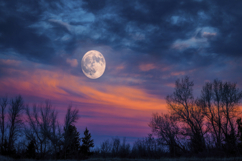 Full Moon and Grass Background Wallpaper Product Image 1