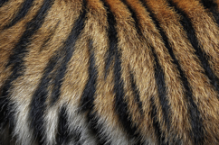 Tiger Skin Texture Background Wallpaper Product Image 1
